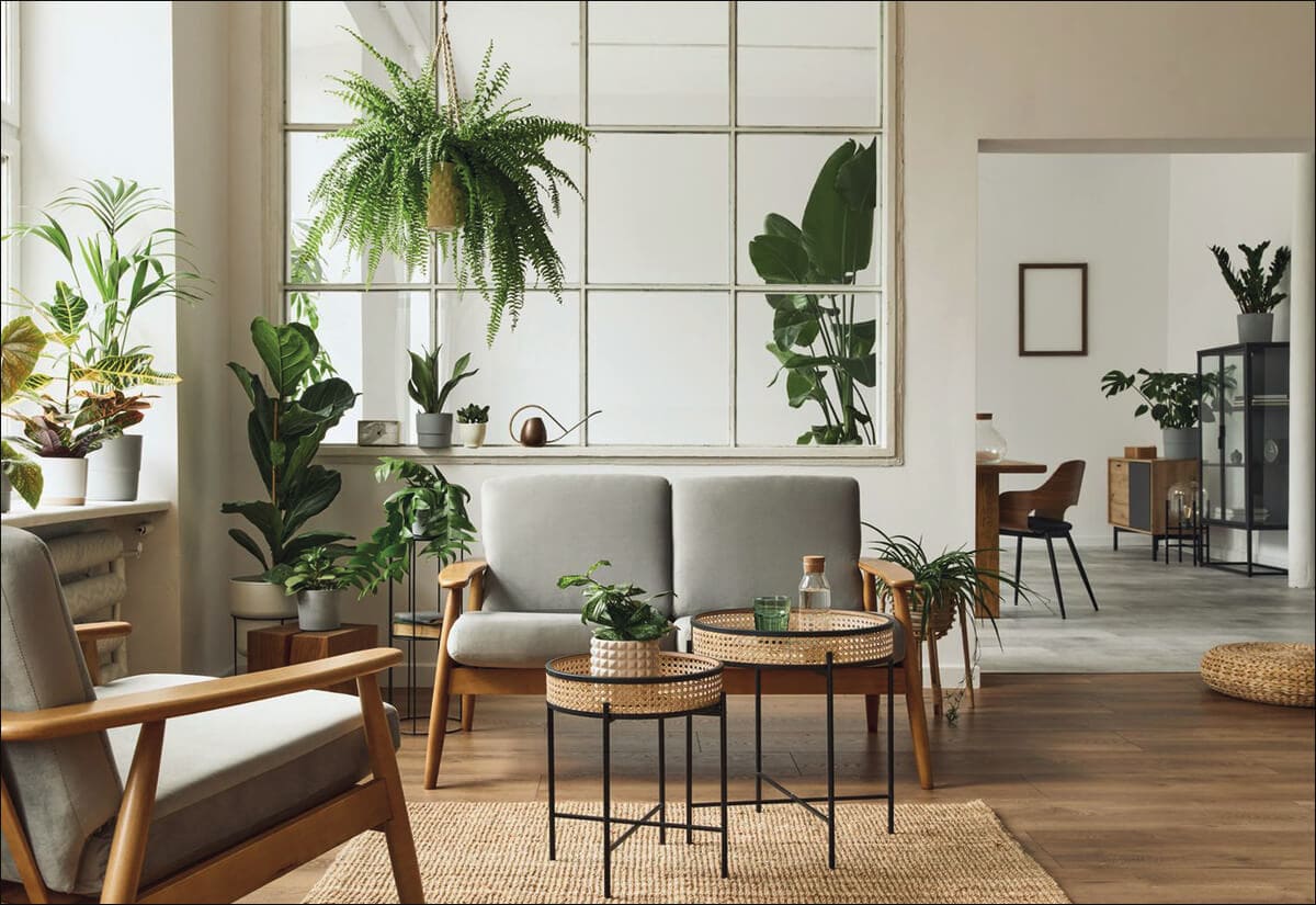 sala de estar com várias plantas